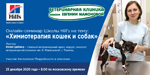 Онлайн-семинар Школы Hill s на тему:  "Химиотерапия кошек и собак"