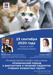 Онлайн-трансляция на тему: "Клинический подход к диагностике и лечению пациентов старших возрастных групп"